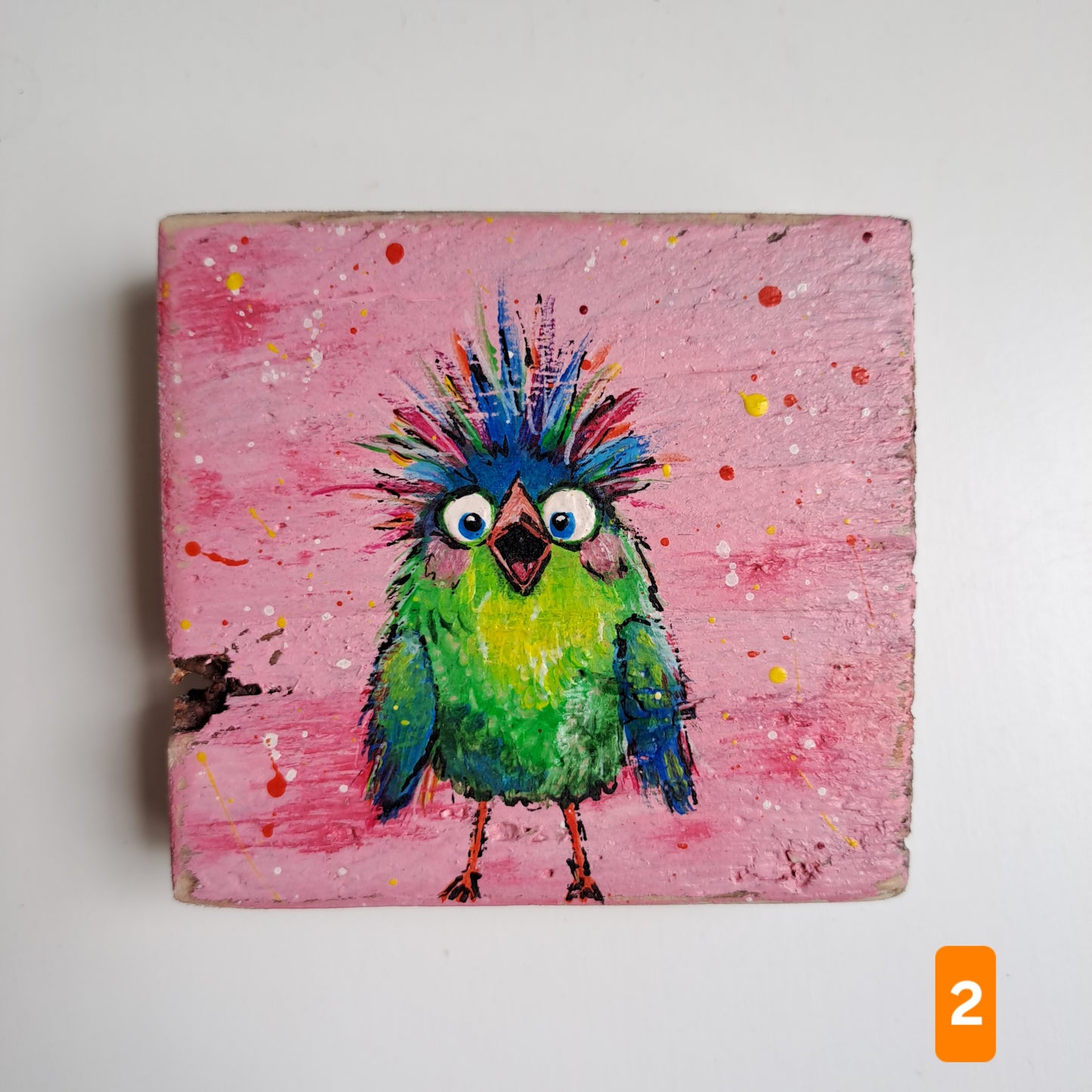 Extra vogelschilderijtjes