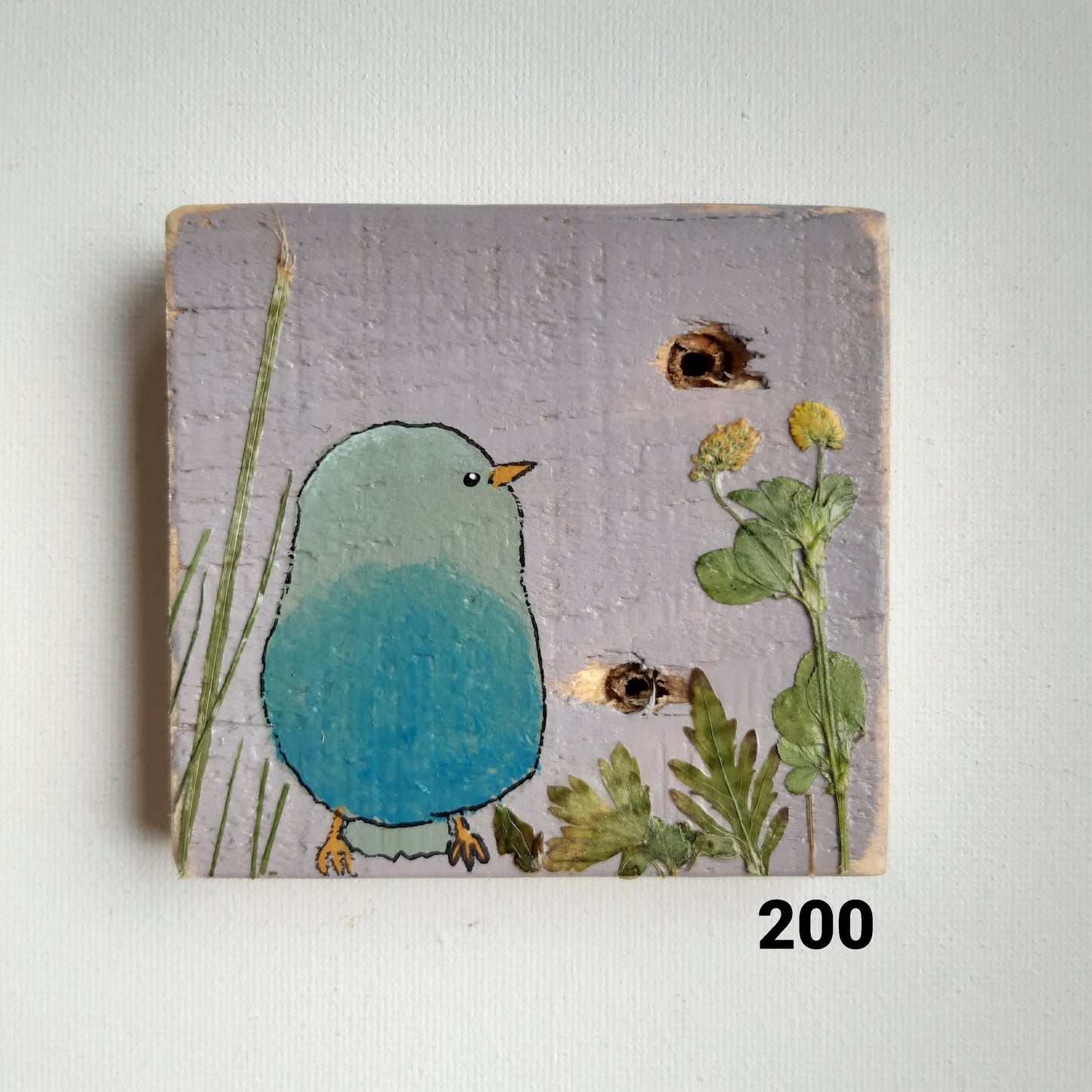 Vogel schilderijtjes #101-200