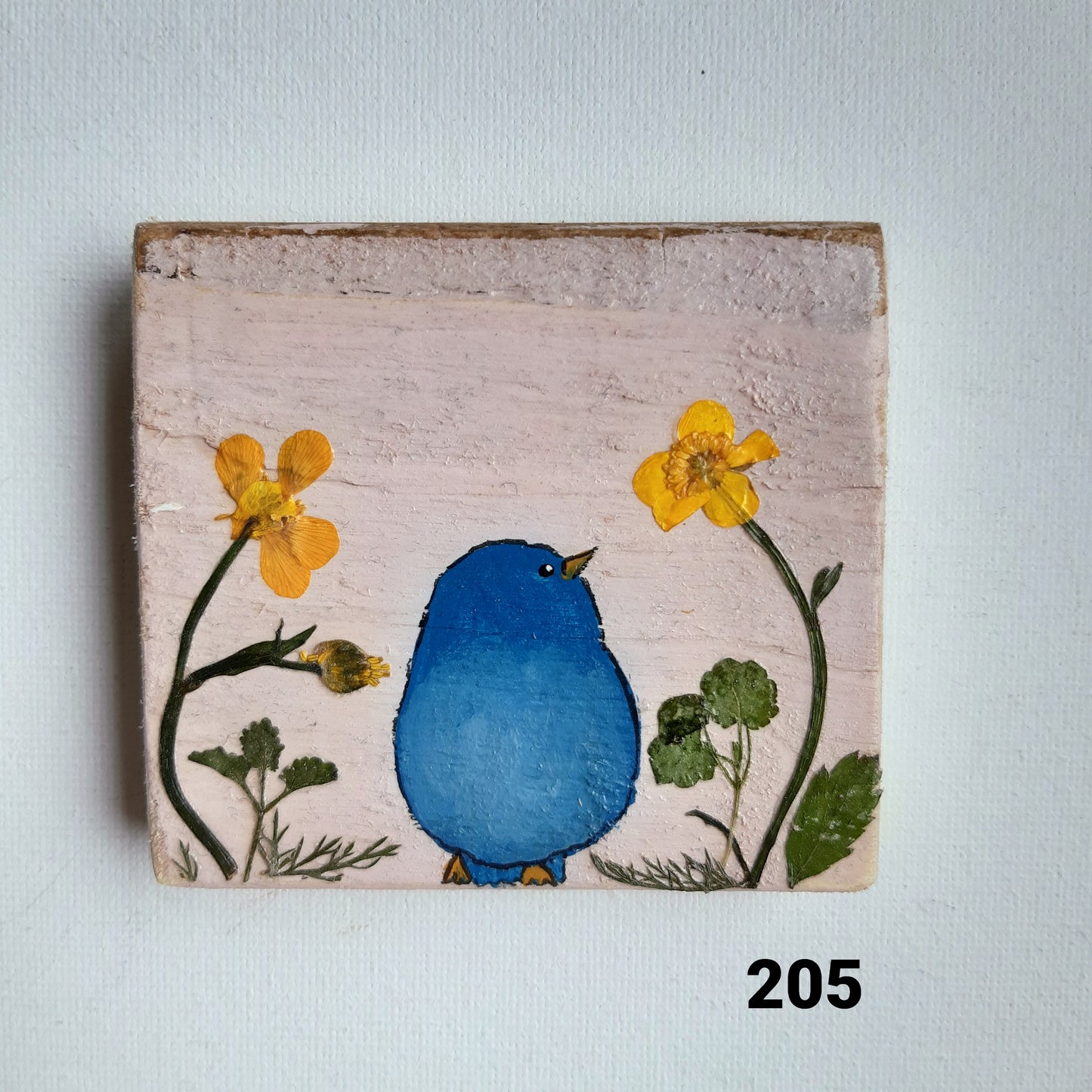 Vogel schilderijtjes #201-300