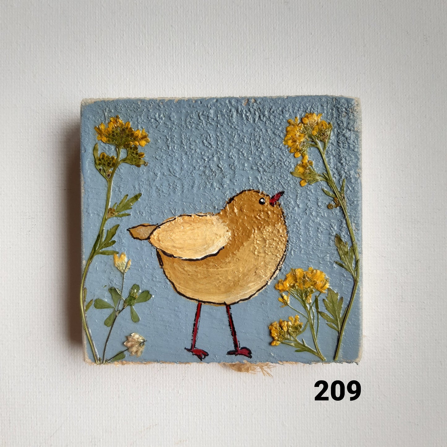 Vogel schilderijtjes #201-300