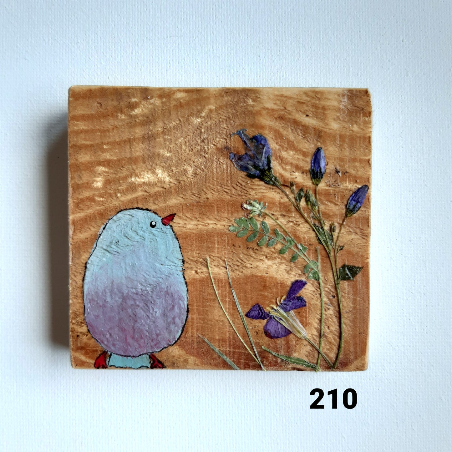 Vogel schilderijtjes #201-300