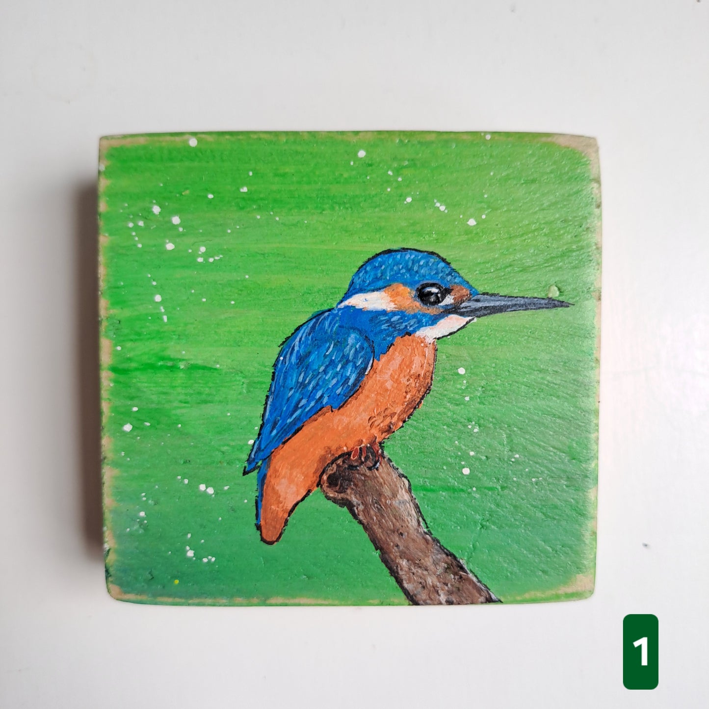 Extra vogelschilderijtjes
