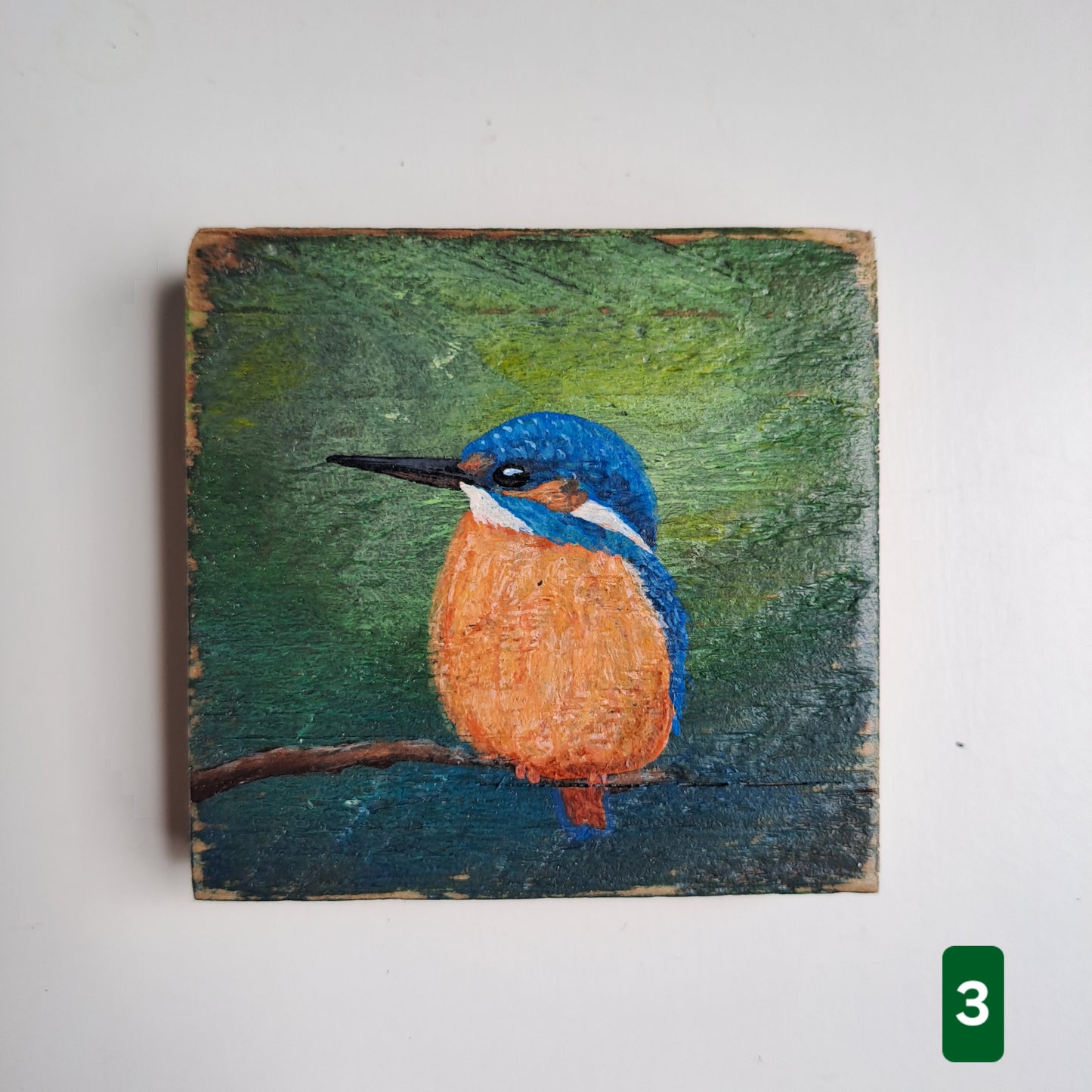 Extra vogelschilderijtjes
