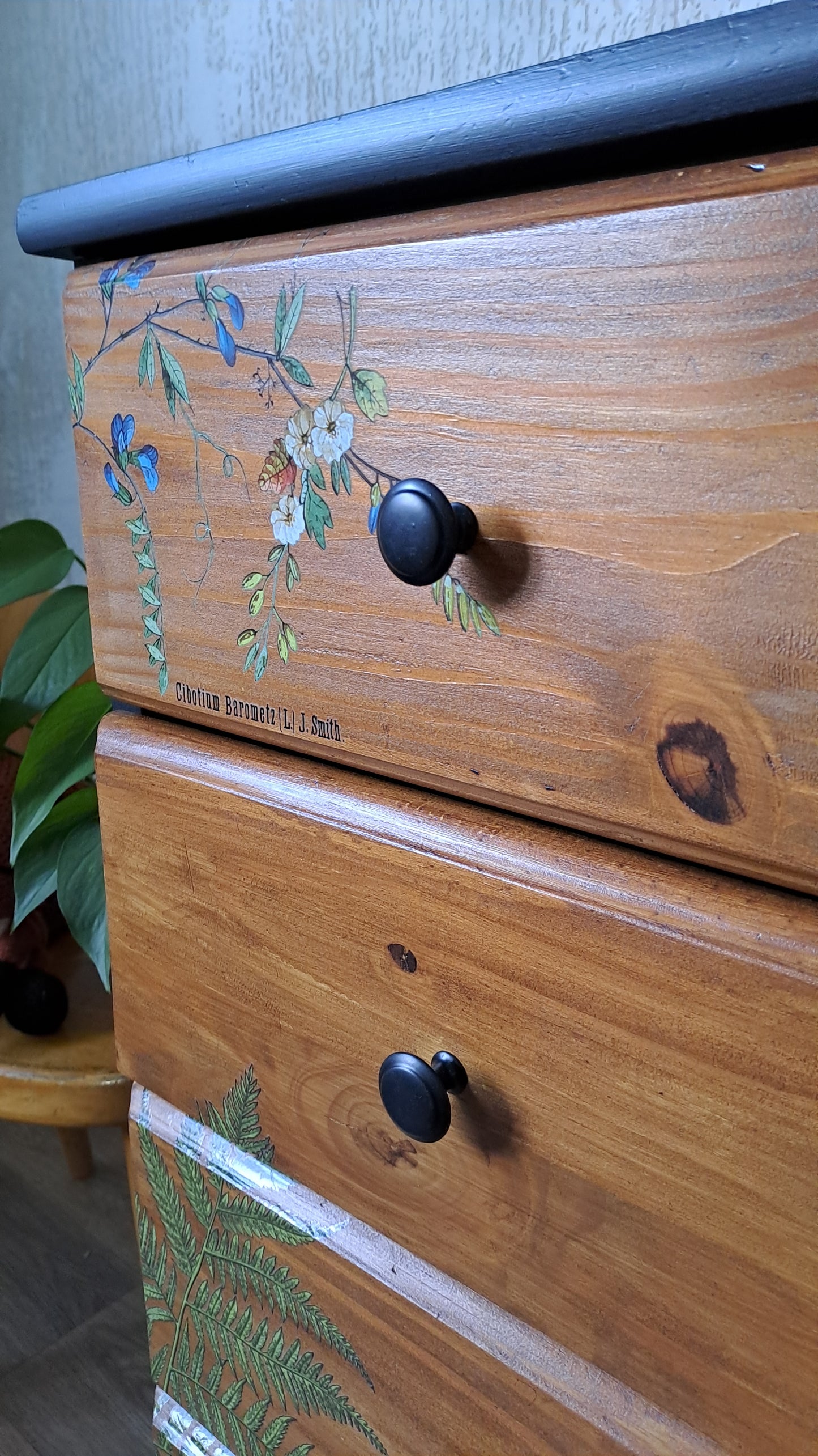 Botanisch ladekastje zwart