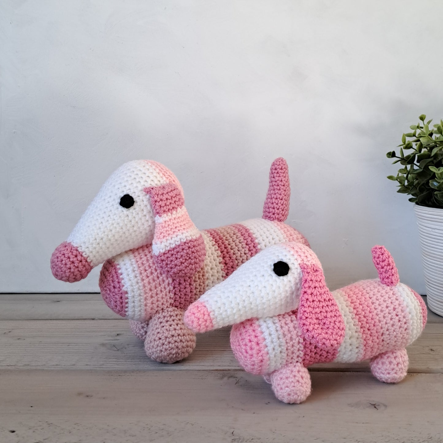 Hondjes