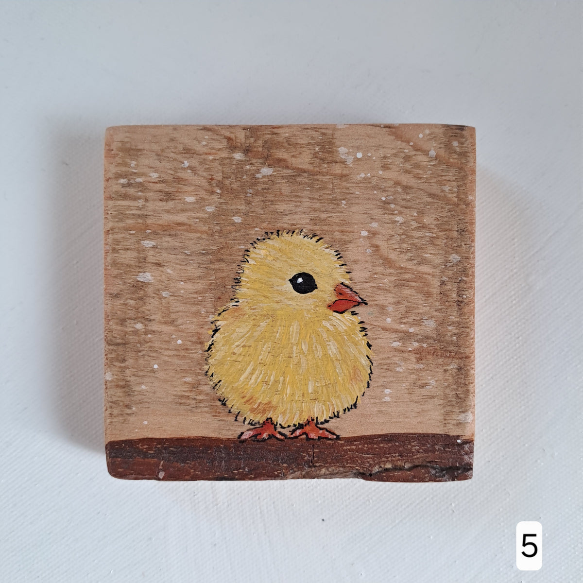 Extra vogelschilderijtjes
